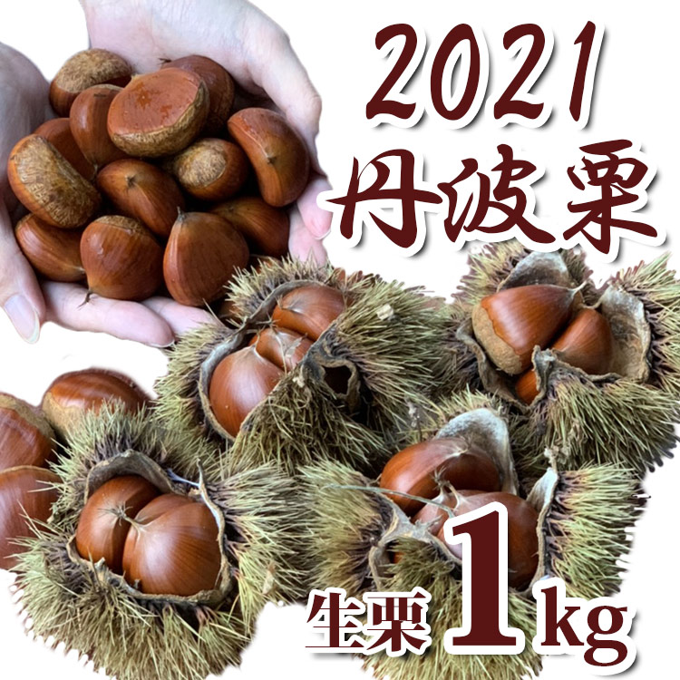丹波栗 L サイズ 1kg 新栗 丹波栗 生栗 大粒 和栗 2021